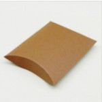pillow1
